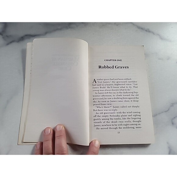 James Budd #1: The Mystery of the Madman at Cornwall Crag, Dale Carlson, 1984 - Picture 6 of 10